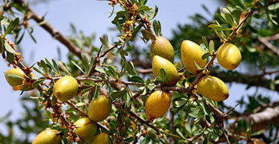 argan-maroc